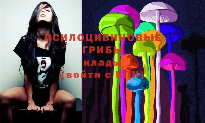 Галлюциногенные грибы Magic Shrooms  darknet официальный сайт  Чекалин 